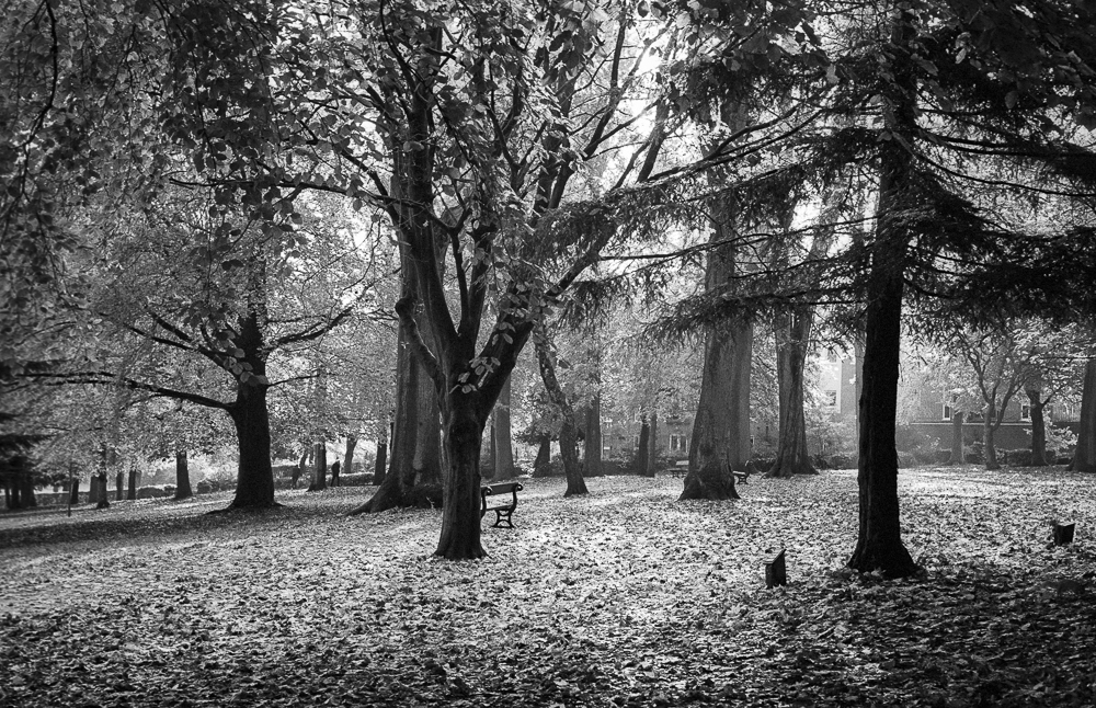 richard_pickup's tweet photo. @ILFORDPhoto HP5+ film at 320 developed in Perceptol

#hp5 #hp5plus #ilford #ilfordphoto #ilfordfilm #believeinfilm #35mm #35mmfilm #blackandwhite #blackandwhitephotography #fineart #fineartphotography #trees #perceptol https://t.co/RDxDuNWZsb