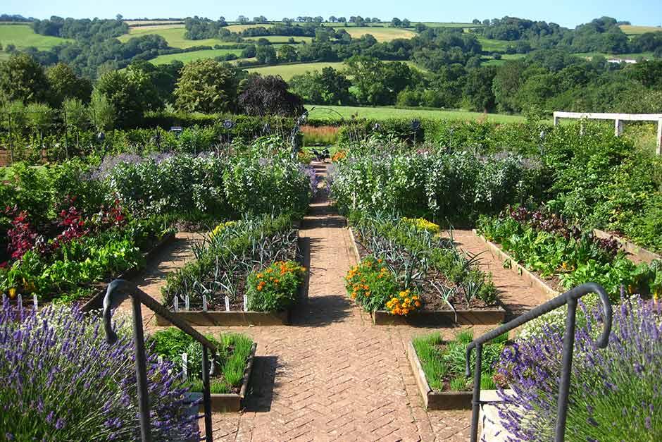 Here's your chance now to make the Yeo Valley Organic Garden of 2021 the Peoples Choice - we want to get the whole of Somerset behind it helping Yeo Valley to win the ultimate prize 🌺 🌸 🌼
<a href="/yeovalley/">Yeo Valley</a> 

Click here to vote for Yeo Valley: loom.ly/fPjTVc4