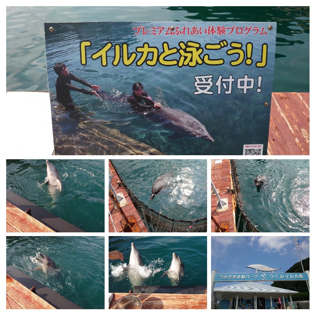 津久見 つくみイルカ島 口コミ 評判 素敵な旅行 観光スポット情報がきっと見つかる ナウティスgo