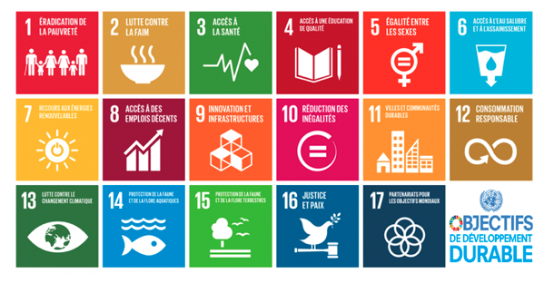 La Semaine Européenne du Développement Durable (SEDD), du 20 au 26 Septembre 2021, nous donne l'occasion de redécouvrir les 17 objectifs fixés par l'ONU pour rendre le monde meilleur d'ici 2030...
#ODD #SemaineDuDeveloppementDurable #SEDD2021 
un.org/sustainabledev…