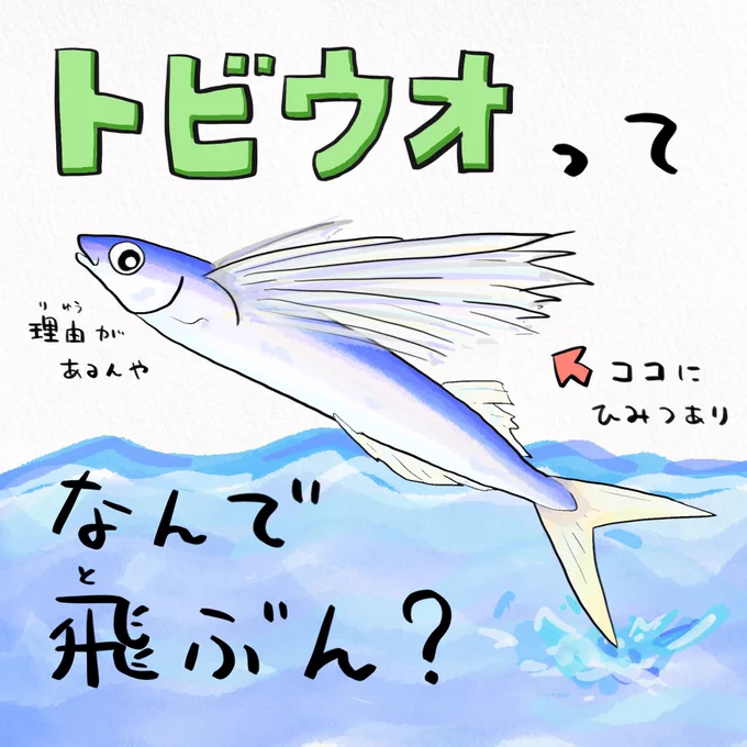 秋風に乗って飛びすぎた魚の末路#イラストを4枚貼ると秋風に乗って絵柄を好いてくれる人の元へ届くらしい 