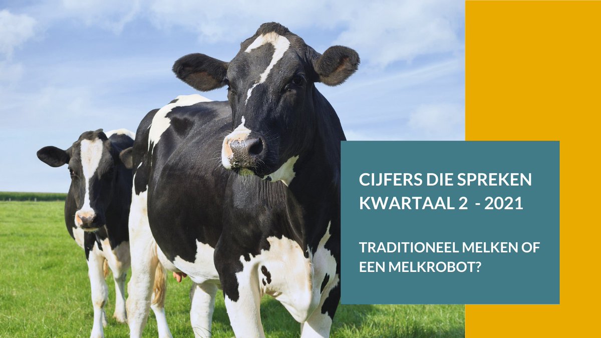 Interesse in automatisch melken neemt toe. Welke financiële verschillen met traditioneel melken zijn er? Welke mogelijkheden heb je om jouw opbrengsten&amp; marge binnen&amp;buiten jouw keten te vergroten? Zie najaarseditie Cijfers die Spreken Melkveehouderij ➡ alfa.nl/cijfers-die-sp…