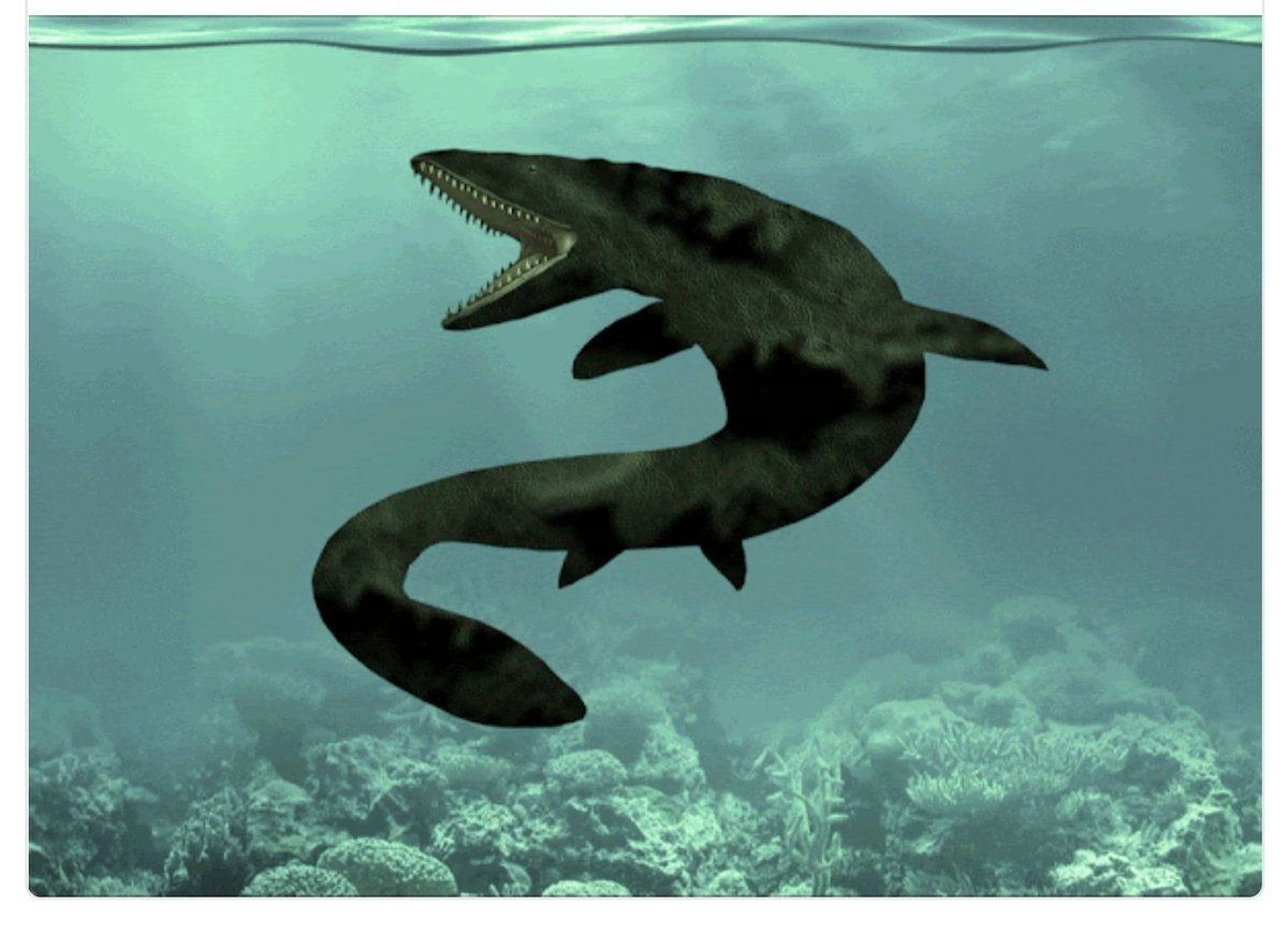 <a href="/CryptoHatchling/">Cryptosaur Hatchlings</a> Nice 😘