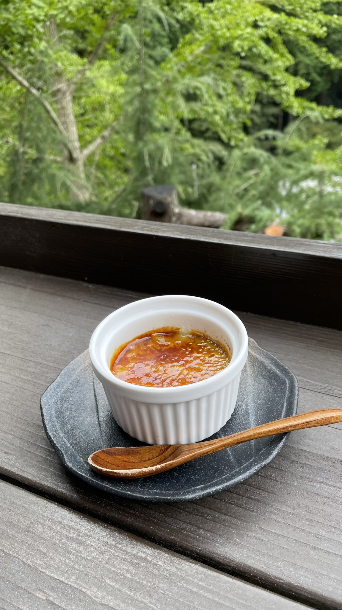 マンドリン風来坊よねっち on Twitter "《続き》 デザートを載せてなかった。 こちらも絵になる🍮 薬膳きのこカレー 大阪府能勢