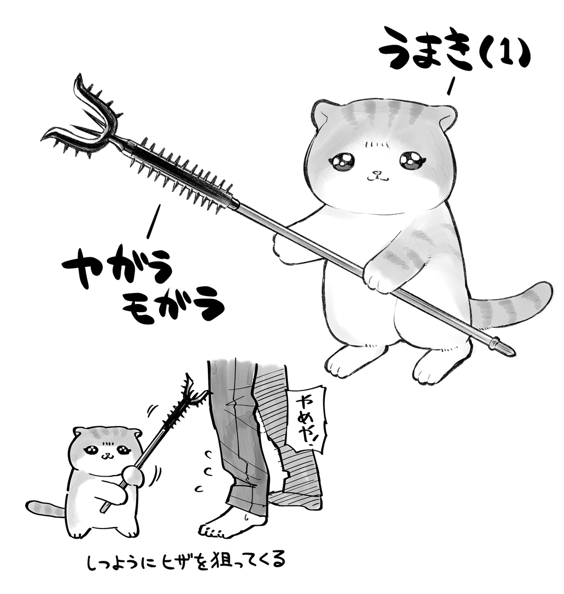 ちいかわ良いから、うちの猫にもヤガラモガラ買い与えようかな 