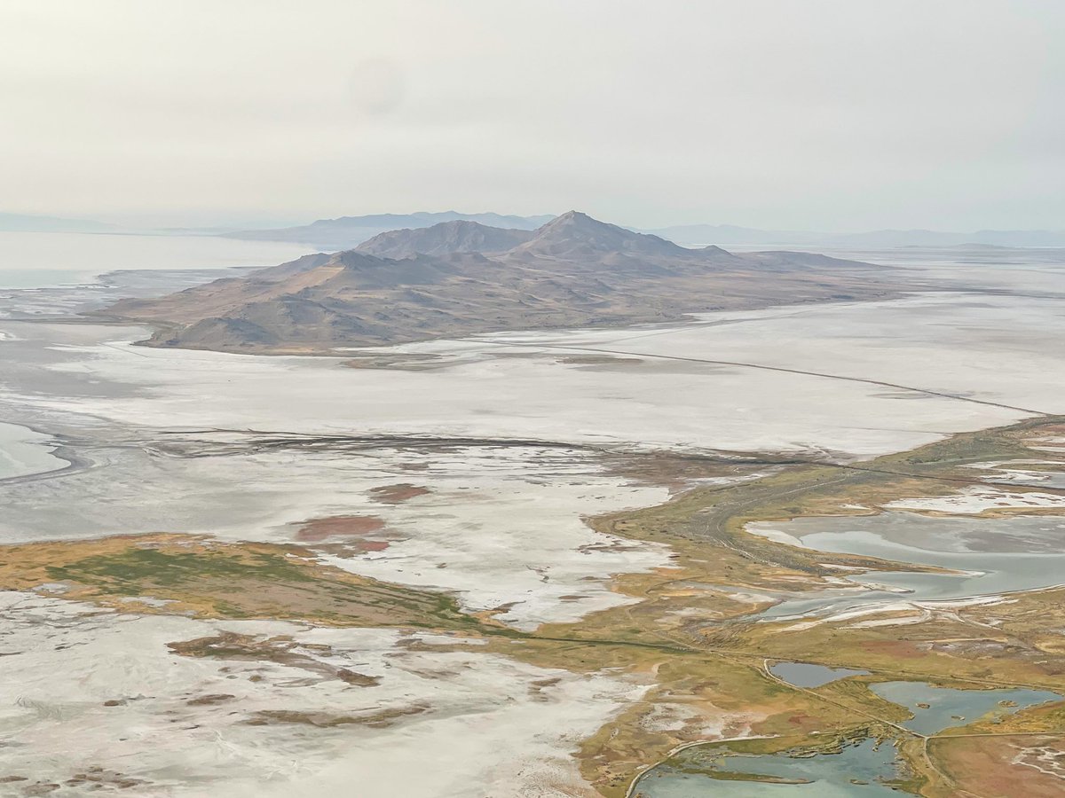 🛫Sean🛬 tweet media