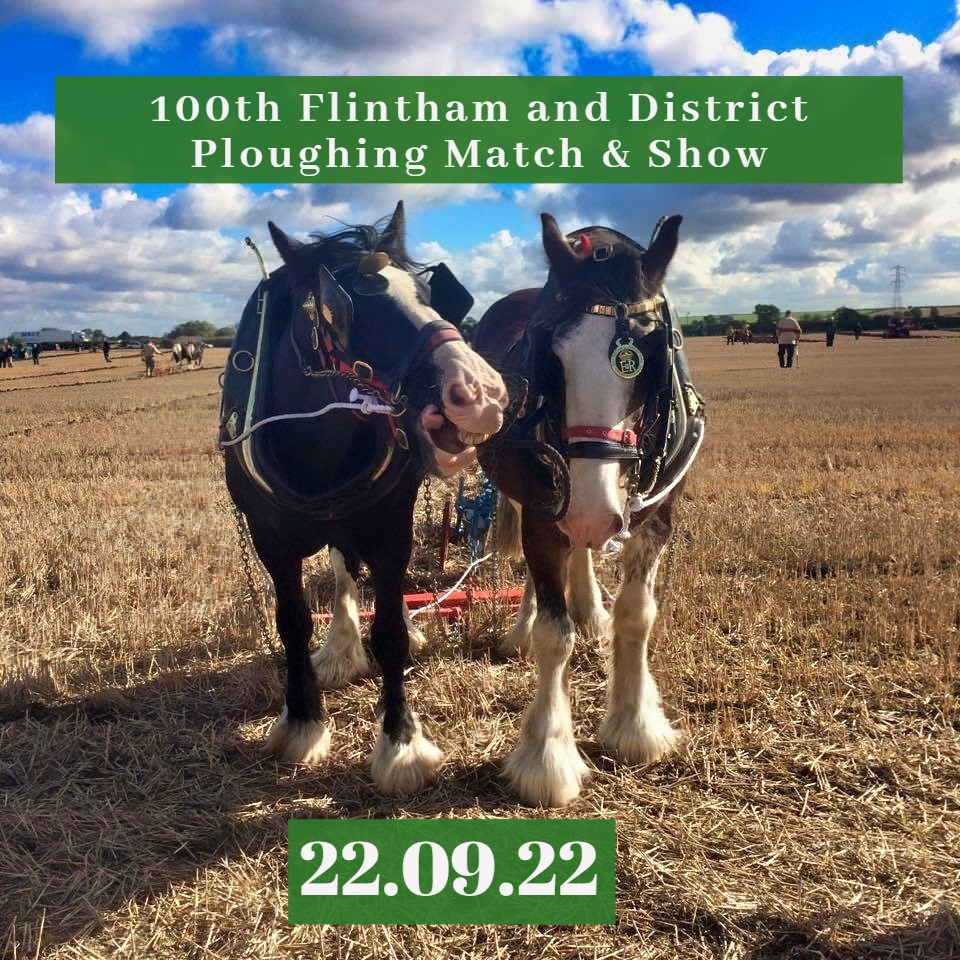 Flintham Show tweet media