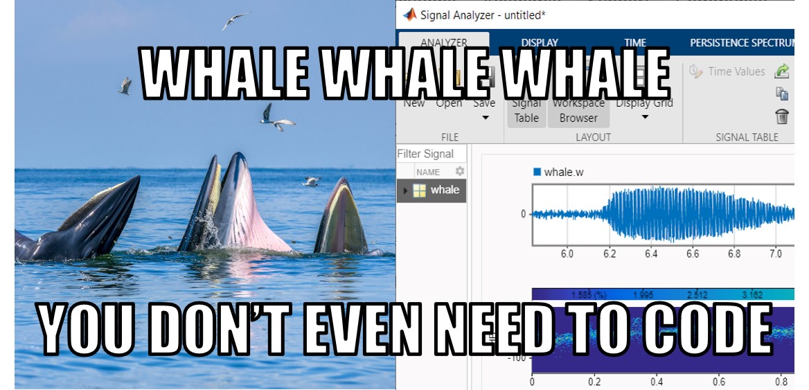 MATLAB's tweet image. Extract and analyze sounds from whale songs without any coding! See how #MATLABApps do it for you spr.ly/6018yQ916