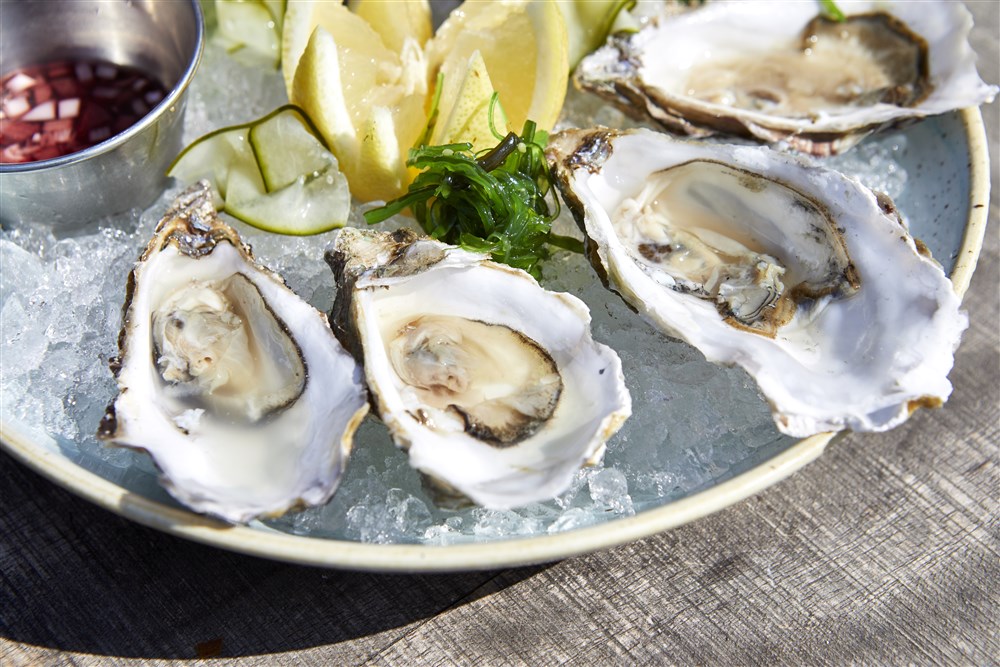 Save the date: Waddenfestival op donderdagmiddag 4 november in de Harmonie in Leeuwarden! Ben je actief in het Waddengebied en heb je een rol in toerisme en recreatie? Dan ben je van harte welkom! Blijf via onze nieuwsbrief op de hoogte: lnkd.in/dNyhv4dh