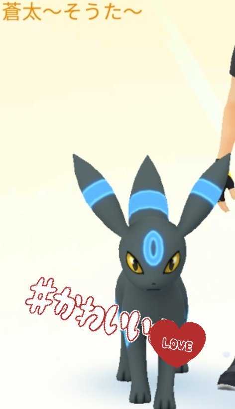 辰 龍竜 タツミ うみうづ兄妹 على تويتر ポケモンgo 相棒ポケモン 色ブラッキーの 蒼太 そうた くん ﾟwﾟ イーブイコミュニティーデーで色ブイ捕まえて確定進化させた ﾟwﾟ ソードの相棒はクワガノンの ガノン Lv 2アゴジムシから育てた シールドは