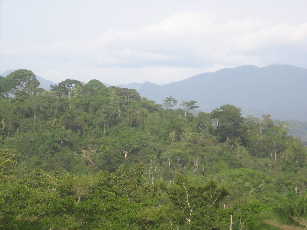 “Save our Forests. Save our Climate”
youtube.com/embed/cJkRZUfH…
Read more here: fsc.org/en/newsfeed/fs…

#FSCFRIDAY2021 #FSCFRIDAY2021