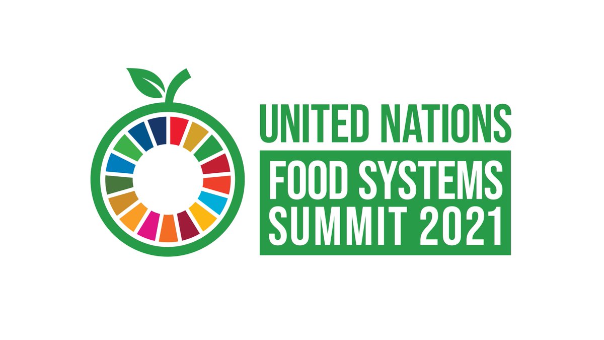 ONGD_CERAI's tweet photo. 📆 Hoy se celebra en Nueva York la Cumbre sobre los Sistemas Alimentarios @FoodSystems de la @ONU_es.
 
¿Y por qué es importante esta reunión? 🤔 En ella se determinarán importantes orientaciones políticas sobre sistemas alimentarios a nivel mundial.
 
[HILO 🧶] https://t.co/4LODvlYx8r