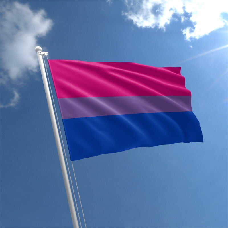 Happy #BiVisibilityDay! Our flag rules