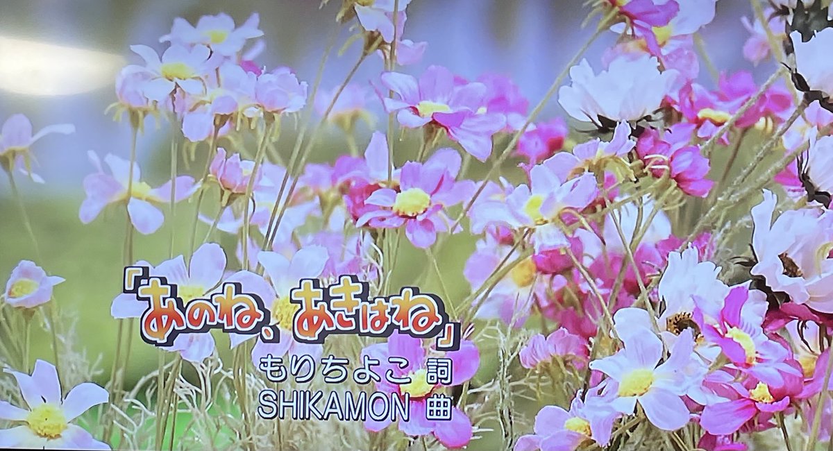 みんと Iyhs Ynd Twitter