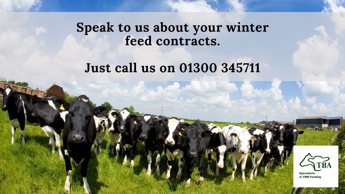 We know we are well into autumn as we are getting busier and busier speaking to our farmer clients about their WINTER FEED PACKAGES and we have some great offers too! Just speak to our team about your winter feeds on 01300 345711  #ruminantnutrition #winterfeeds #dairyfarming