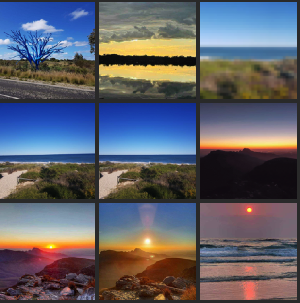 Steve King tweet media