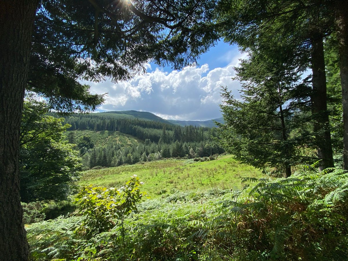 Always take the scenic route 🌳 ⛰️ ☀️
.
📍 Whinlatter Forest, Lake District
.
.
.
#WhatWillYourNextAdventureBe #HappyAdventuring #PXTeam #SmallBusiness #Happy #LakeDistrict #WhinlatterForest #WhinlatterPass #Wanderlust #Travel #TravelInspo #Nature #Photography #Travelgram