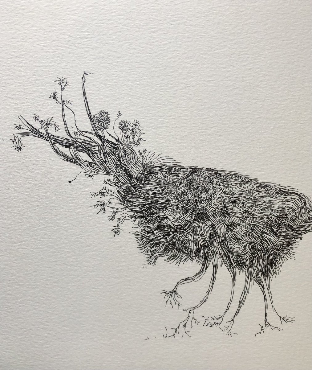 Nicolas Bilder tweet media