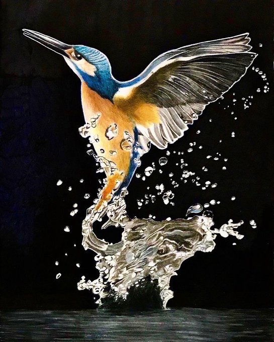 色鉛筆で描いたカワセミ #カワセミ #色鉛筆画 #絵描きさんと繋がりたい