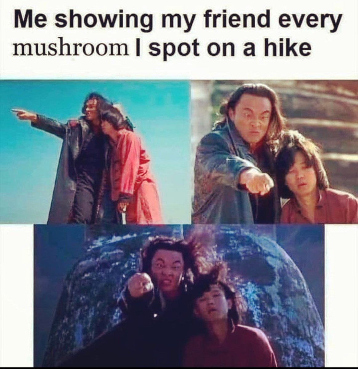 Us on literally every hike. 😂 🍄 😂
.
What are some of your favorite mushrooms to find? Tell us below! ⬇️
.
.
.
.
Meme by @evergreenthumbs
.
.
.
.
.
#mushroomjokes #mushroom #mycology #fungi #spore #mushlove #functionalmushrooms #mycelium #shroom #foraging #exploremore