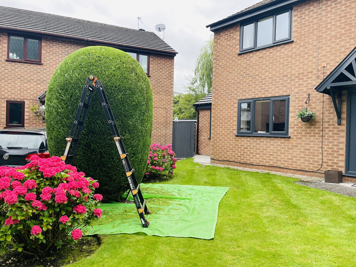 Nice to have a bit of variety🌾🍃🪴👍🏼#garden #gardening #trimming #lawn #lawncare #Macclesfield #Cheshire