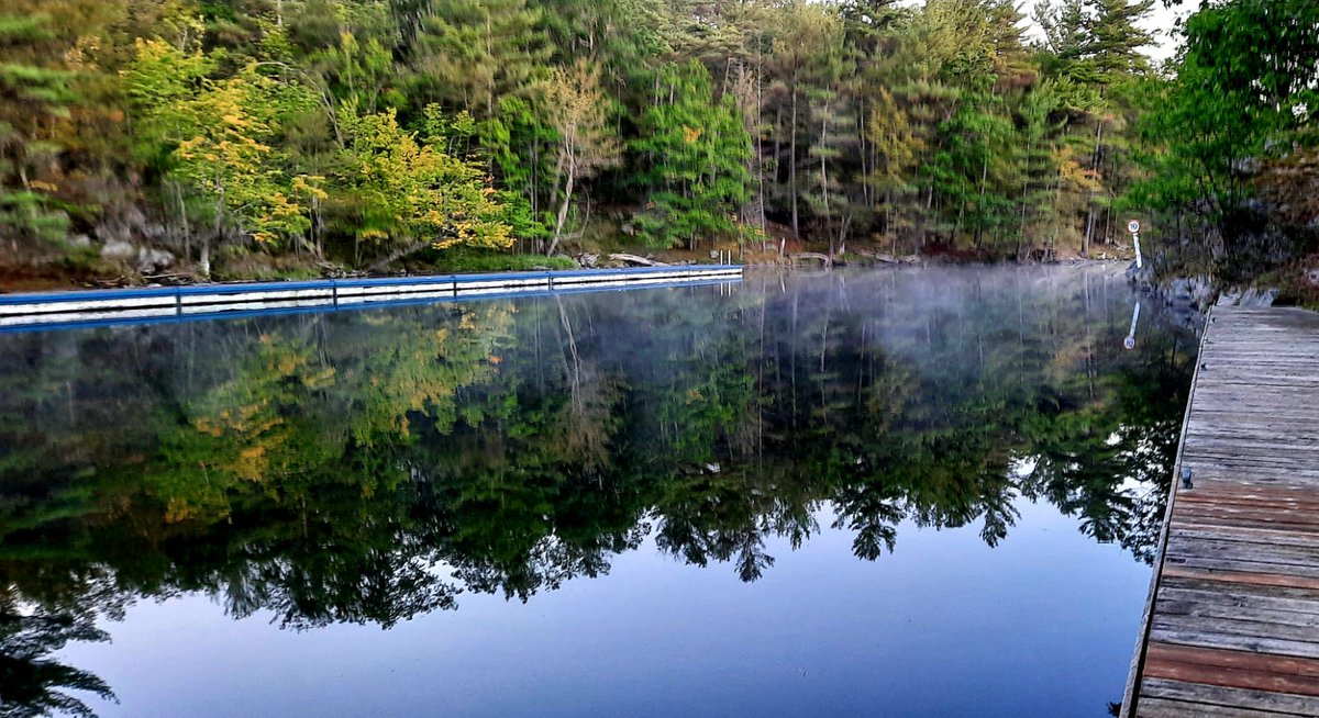 Sergeant Pete Viol (Retired) tweet media