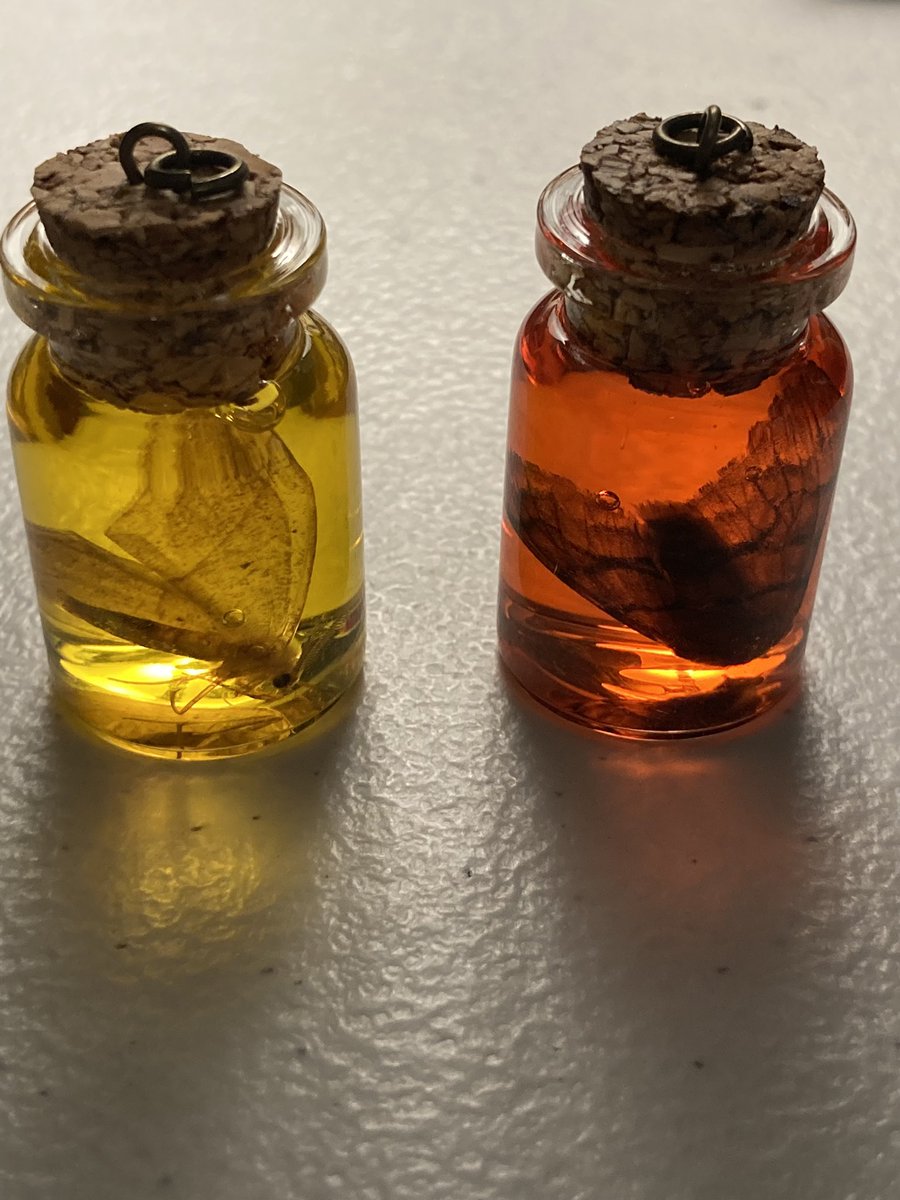 nex_jin's tweet photo. I’ve just finished two more of these beauties!! I did much better at adding color this time.
I’ve also found started a monarch that I’m really looking forward to finishing!
#oddities #wetspecimens https://t.co/msPCb8Z5F3