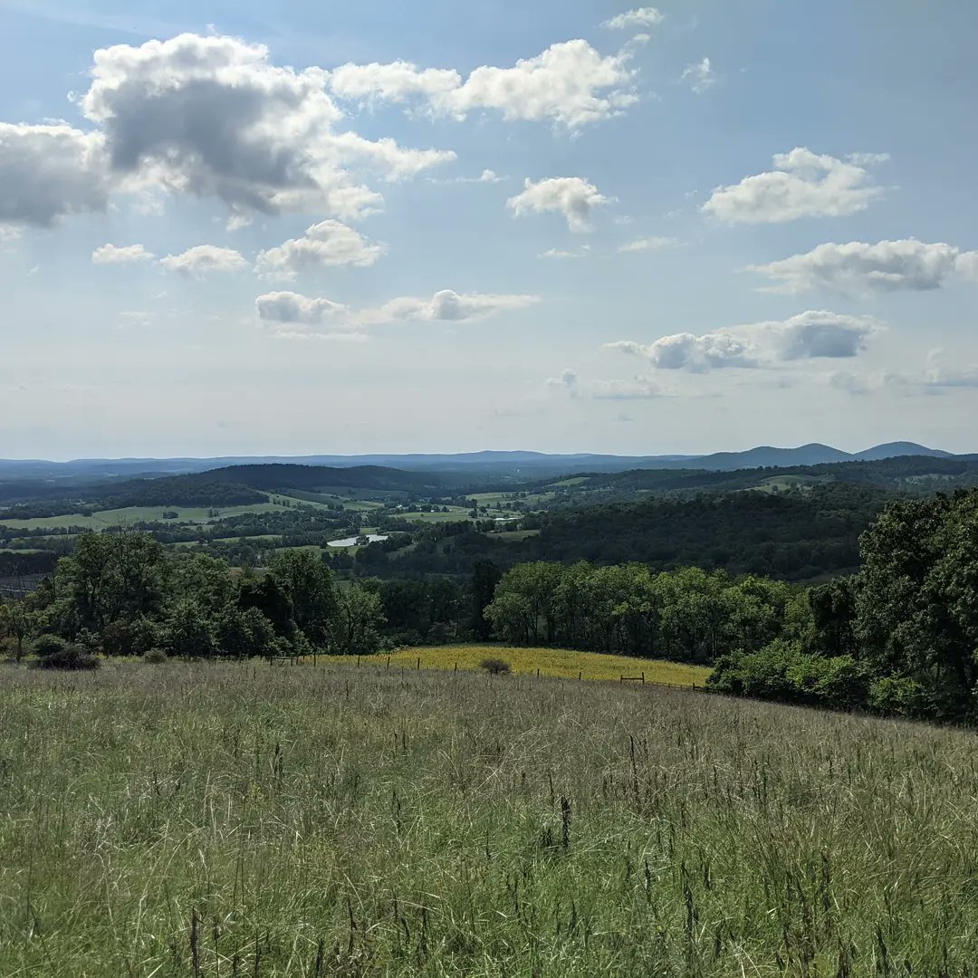 Nature is always the answer #mybodytookmehere #unlikelyhikers #beautifulblueridge