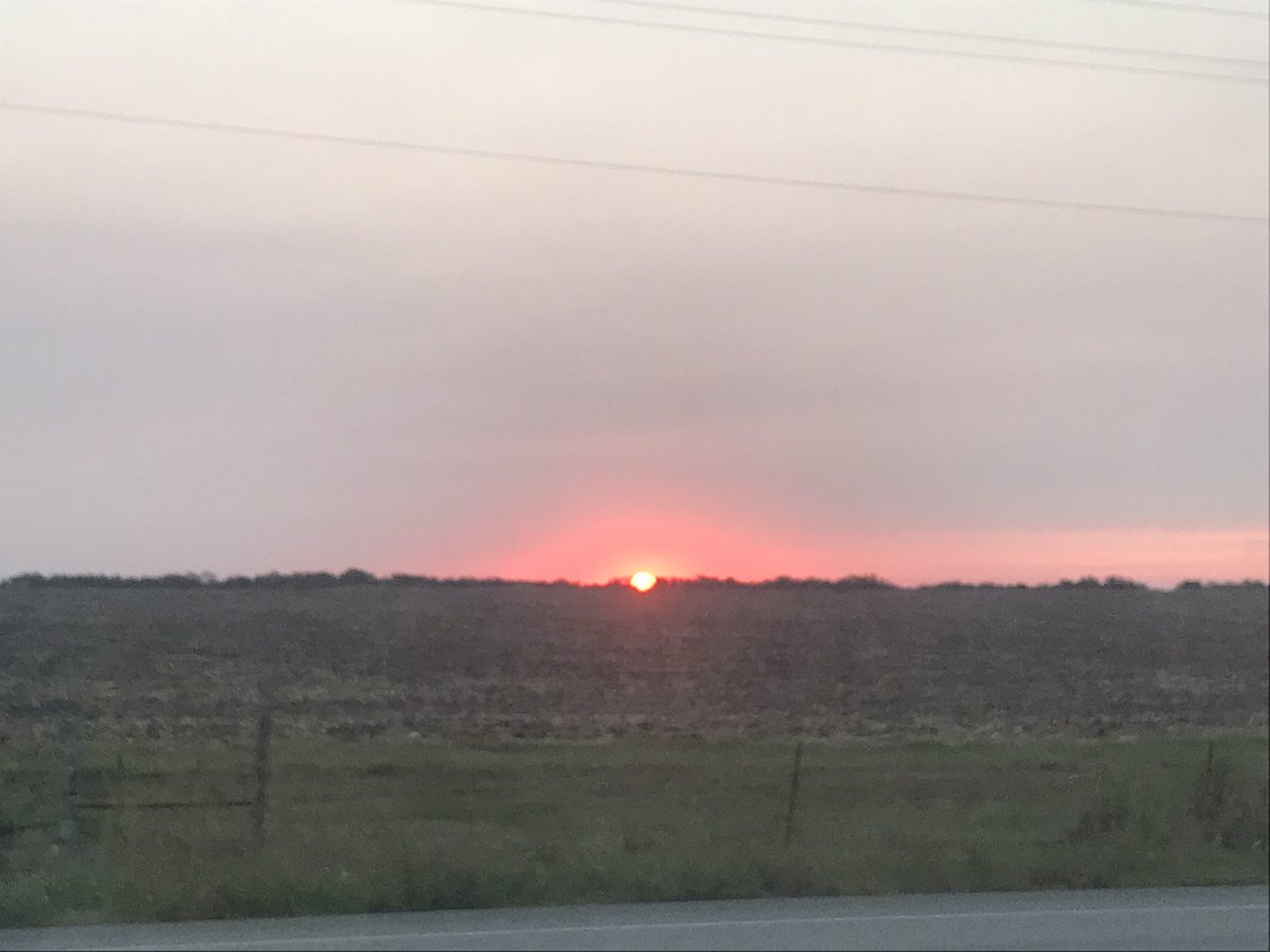StarlitEyedfor7's tweet photo. #OurHealingPebbleRM
#WeLiveSoWeLoveNamu
#aRMysEternaLove
#GoldenSkiesforNamjoonandJK
#HAPPYBIRTHDAYNAMJOON I took this yesterday, why not share it for Joonie’s birthday?🎂💜🌙🌅 🪴 https://t.co/gIE4f2AWEH