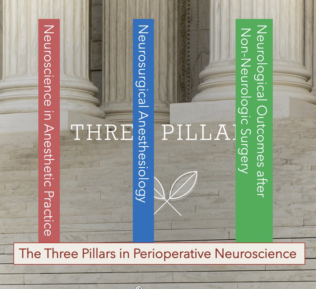 Neuroanesthesia review fun quiz today afternoon on the three pillars of perioperative neuroscience <a href="/SNACCNeuro/">SNACC</a> #SNACC2021