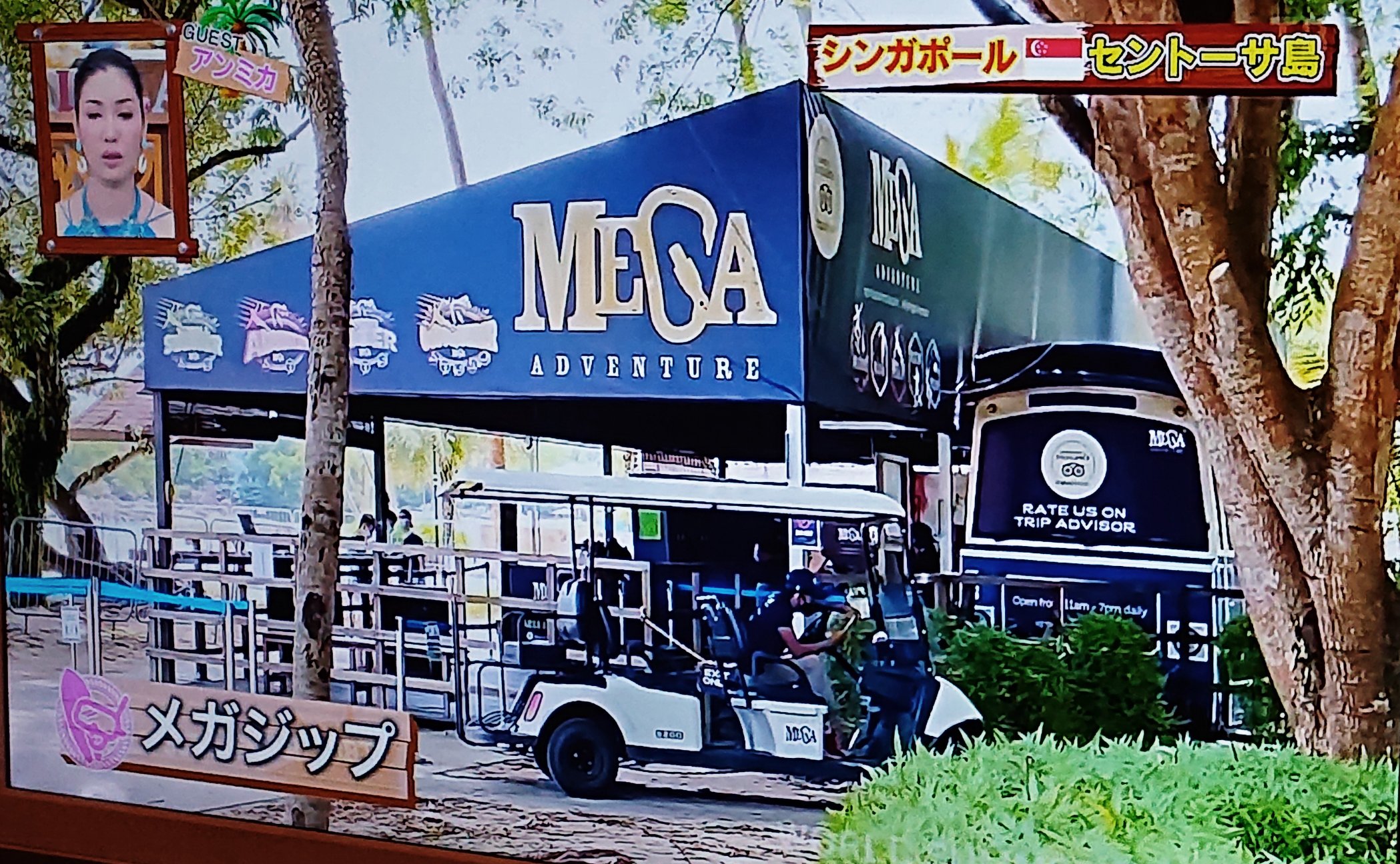 メガジップ Twitter Search Twitter