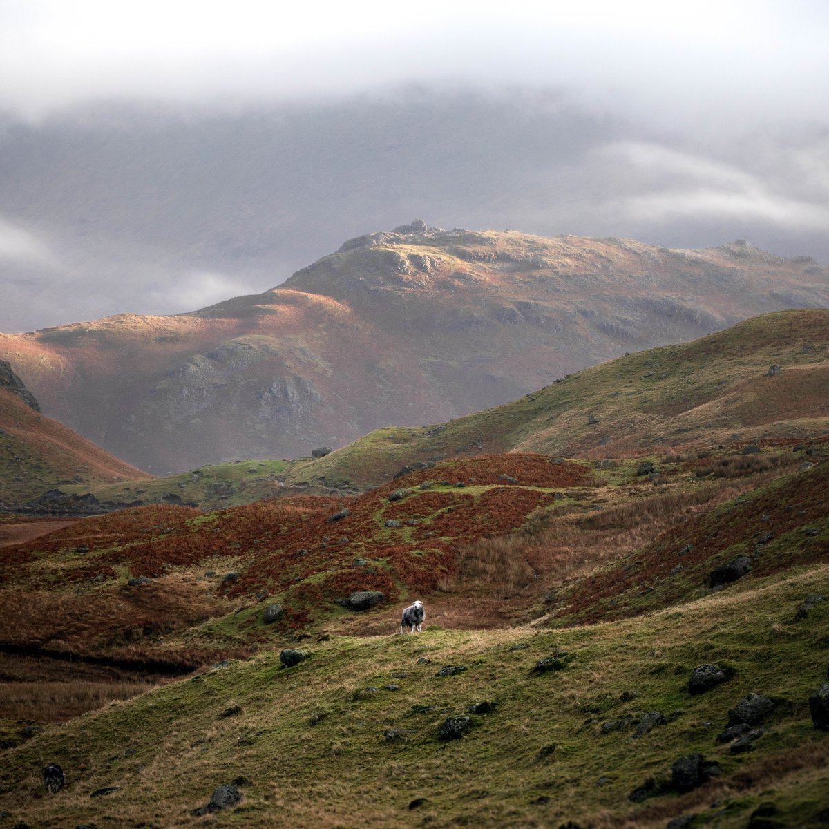 Aerial is a festival of new work inspired by Cumbria. Join us in Kendal on Sat 9th Oct for a one-off event featuring exclusive performances, film, music and more. Tickets £15 👉 bit.ly/3li7bTQ