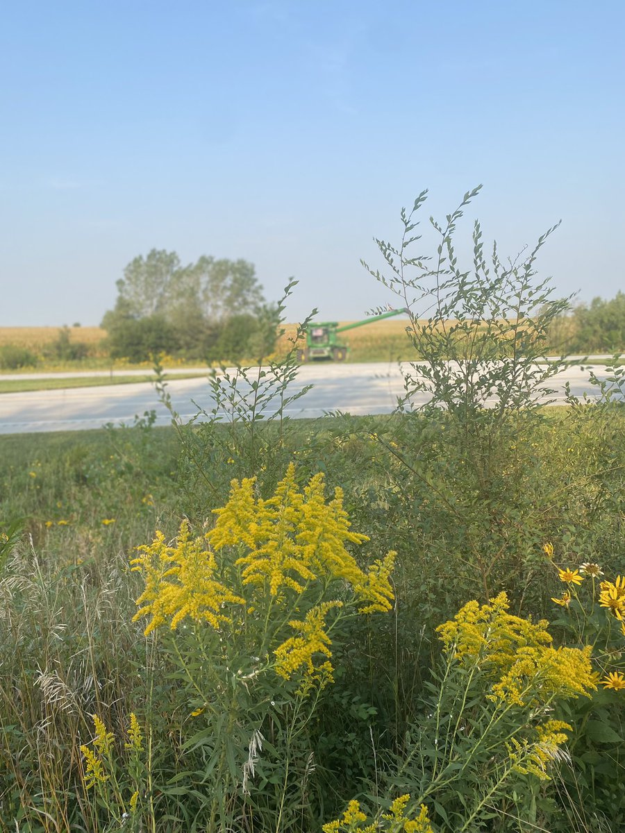radeunk's tweet image. Remembering and honoring those who gave their all on September 11.  Supporting military and first responders along Hwy 77.