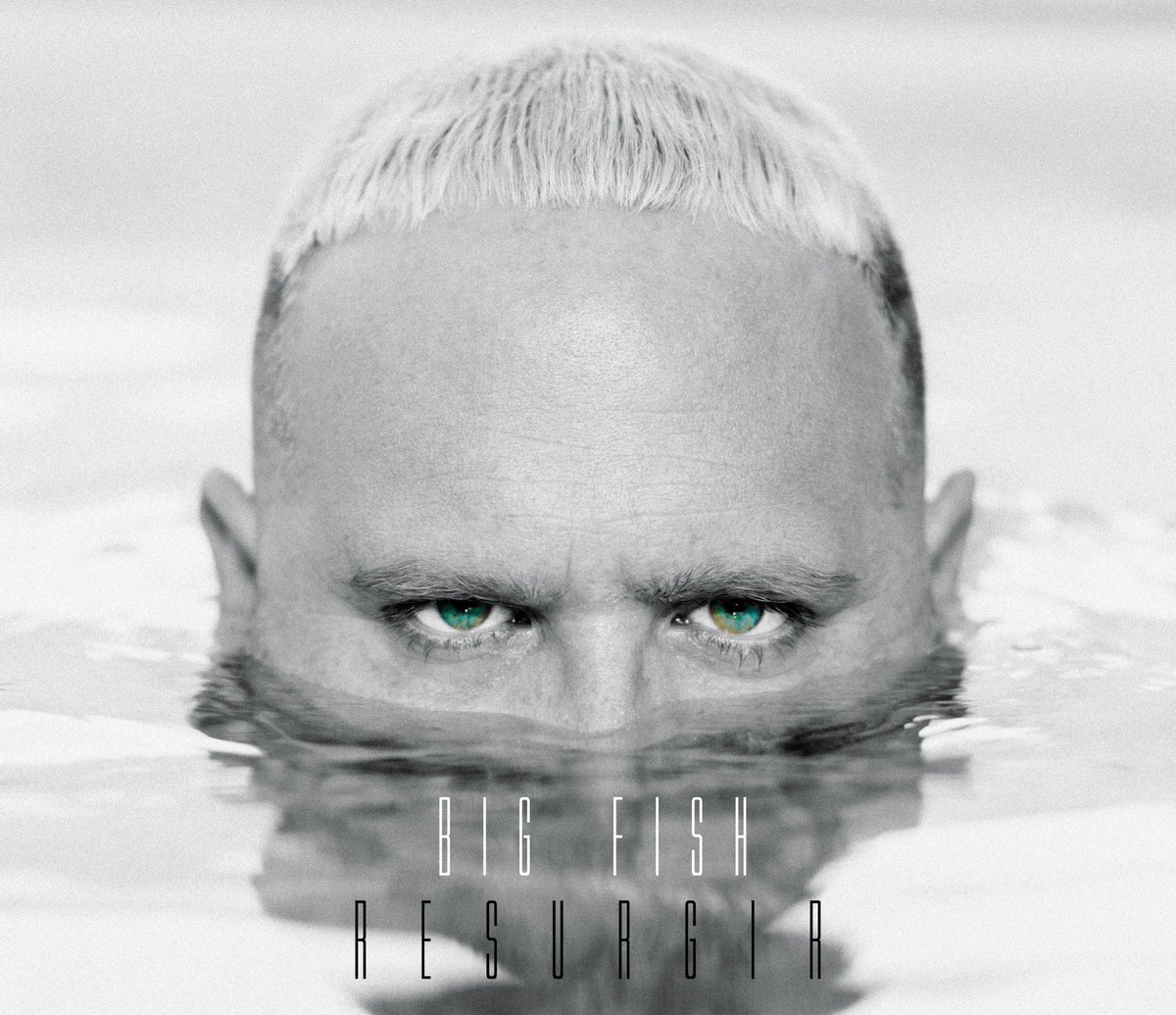 BUENOS DÍAS !! 
LA SEMANA QUE VIENE SE EMPEZARÁ A ENVIAR Y REPARTIR A LOS MÁS CERCANOS EL MERCHANDISING Y EL NUEVO DISCO FÍSICO DE RESURGIR!! #PORFIN 
T A M B I E N   H A B R A N   A  L A   V E N T A!
RESURGIR BIGFISH
EN BREVES EN TODAS LAS PLATAFORMAS DIGITALES 
#1LOVE