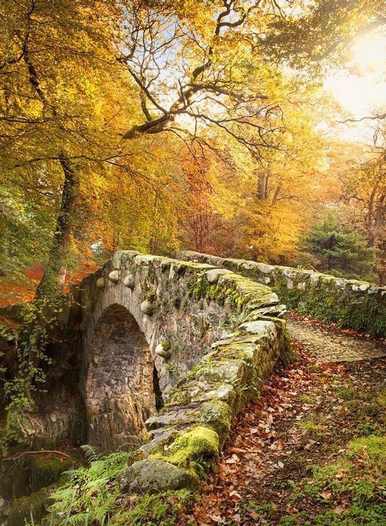 Foleys Bridge in Autumn at Tollymore Forest in Co Down by Gary McParland #Ireland #photography #landscape