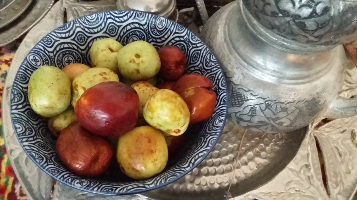 ElizabethEarl6's tweet photo. Jujube fruit, fresh from my local organic market today.  The fruit is said to  relieve stress, improve circulation , and boost the immune system. #junube #hünnap #organicmarket #bomonti https://t.co/IRQK05SGwR