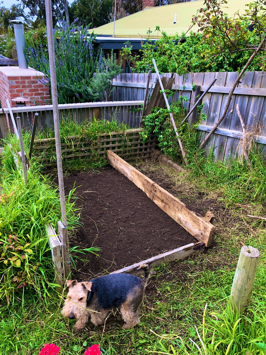 mrkylemac's tweet image. Time to crack a tinny mate