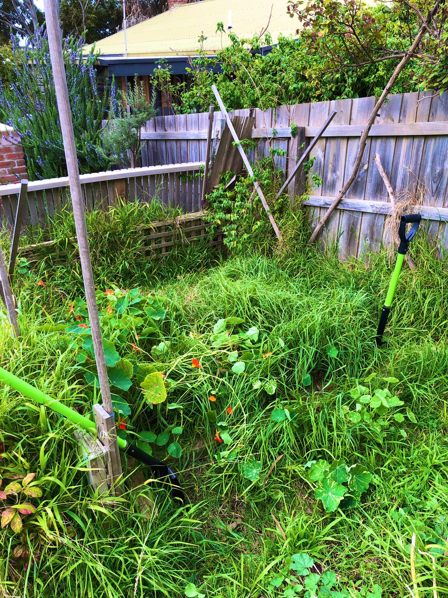 mrkylemac's tweet image. Time to crack a tinny mate