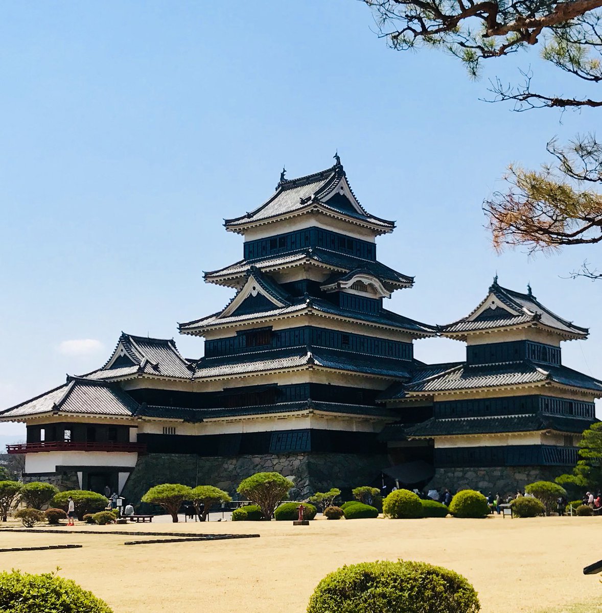 小さいお城ですがカッコいいです コロナが落ち着いたら是非お越しくださいませ ブラタモリ 松本城 ツイレポ