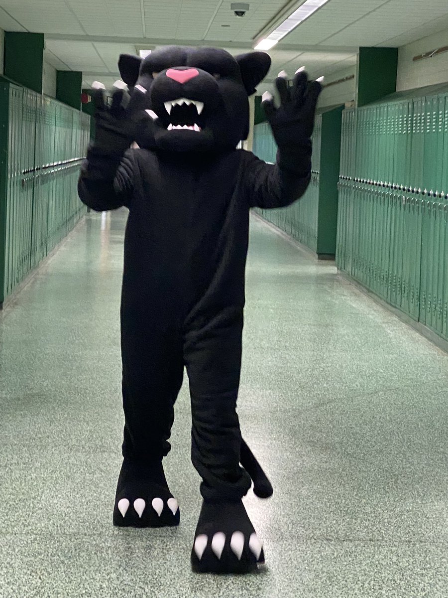 Dr. Alexandra Estrella tweet media