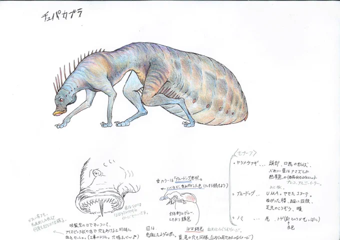 私がデザインしたチュパカブラです〜
吸血繋がりでノミやヤツメウナギがモチーフです!
・血を吸うと尻尾が膨らみます
・尻尾が地面に擦れるので歩行が苦手で跳躍のみで移動します
・吸盤状の口で獲物に吸い付き、釘のような舌を何度も打ち付けて皮膚を穿いて血を吸います https://t.co/irsJxcosIV 