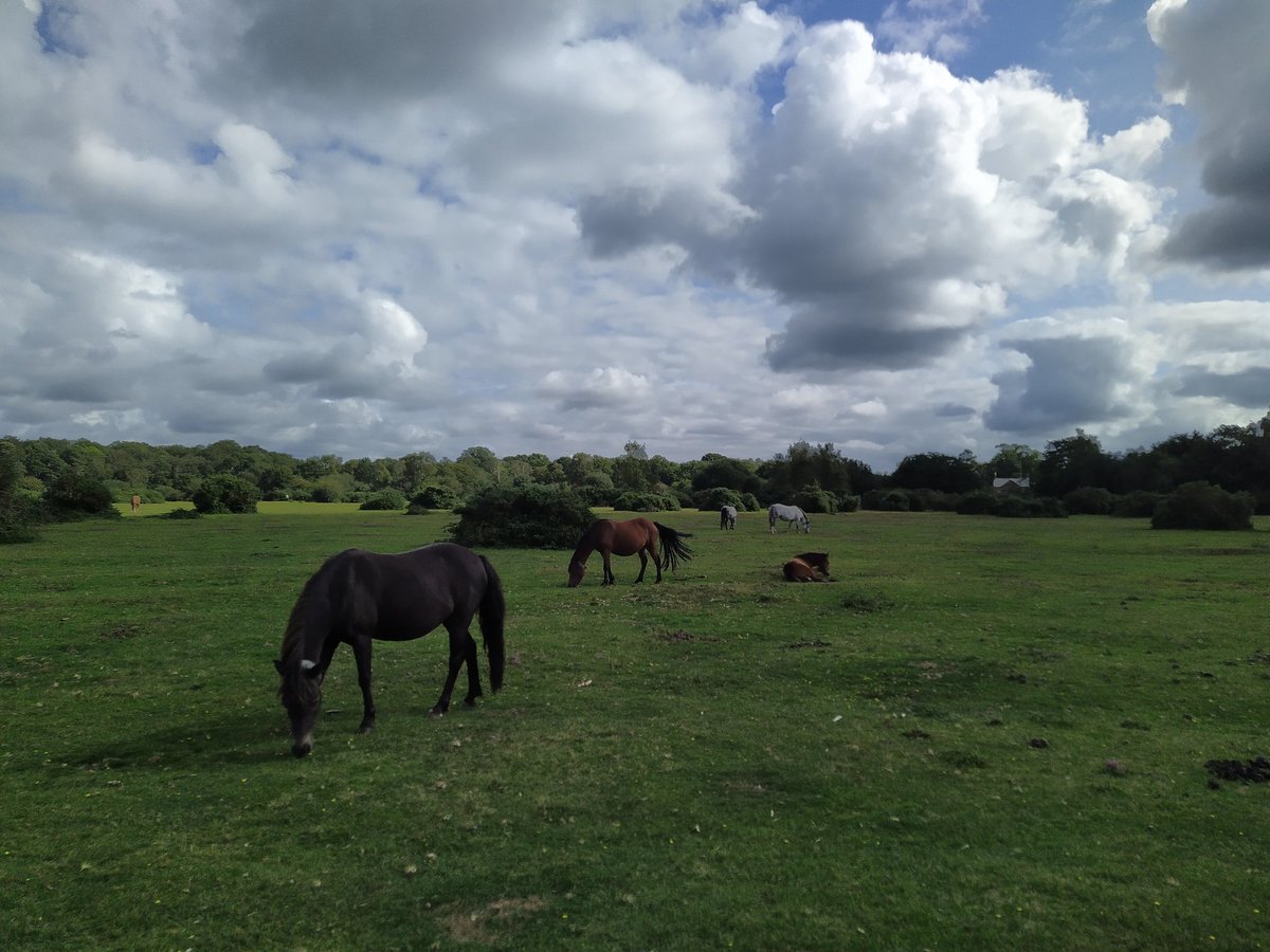 brownbowlerhat's tweet photo. Being on twitter saves me a fortune on stamps...

#HavingALovelyTime
#NiceWeather
#WishYouWereHere https://t.co/wgdzxJmQQt