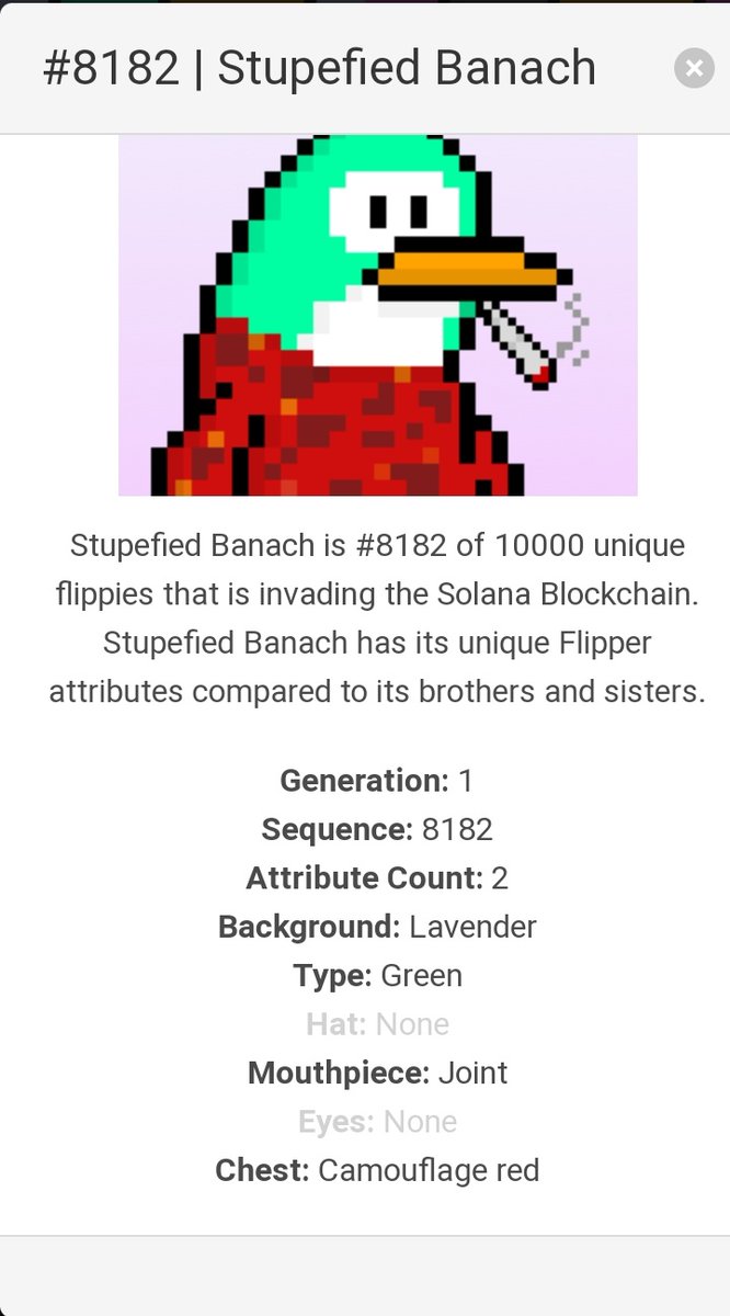 Muhamma92865467's tweet photo. @FlippiesNFT #8182 aka stupefied Banach is my favorite NFT at the moment #Solana #SolanaSummer #solanaNFT https://t.co/NYFSRDaBEe