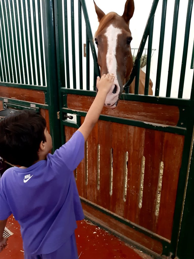 حدثتني صديقتي ذات يوم ..

عن خيل اصيل (ثاقب) ….. كان لطيف الروح … جميل …

ذات صباح …. اصيب بجرح .. عميق … كعمق الليل … ووحشية بعض البشر … 
جرح … غائر بالروح … قبل الجسد 

اوجعني الخبر …

الانسانية … لا تتجسد بين البشر وانما بين … كل مخلوقات الله في الارض …فرفق بهم .