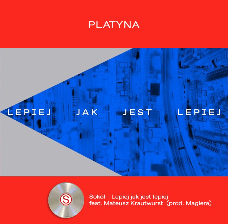 #wojteksokol #sokół