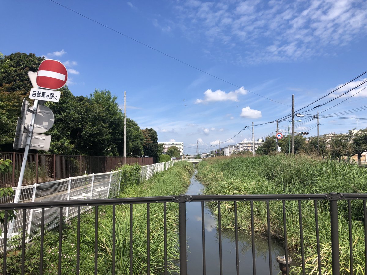 J_StyleGardener's tweet photo. 【#原風景】

昨日、久しぶりに訪ねた新三郷。

青々と繁った水路と団地。

草加や越谷など埼玉県東部エリアの原風景の “記憶のカケラ” がそこにありました。 https://t.co/FT0vbbPfxJ