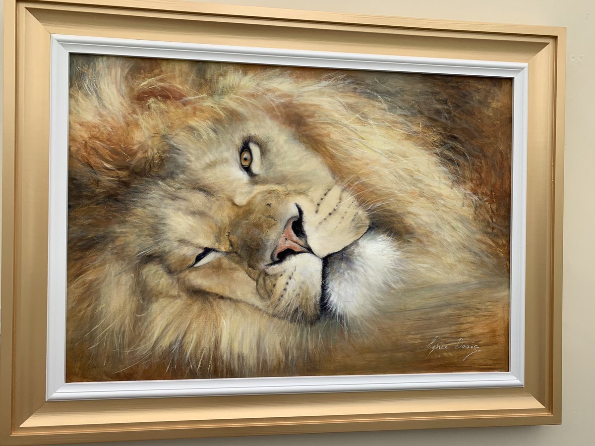 NEW, Finished and Framed ‘Rise and Shine’ Oil on Canvas 122cm x92cm. Available to purchase at The #Surrey Contemporary Art Fair, #Sandown Racecourse 24th-26th Sept. Stand 14
#originalart #originalpainting #oiloncanvas #lion #lionpainting #wildlifeart #interiordesign #artfair