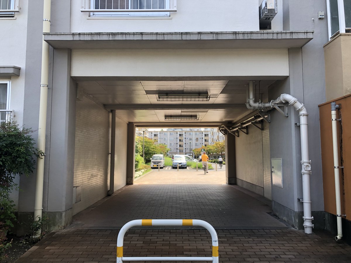 J_StyleGardener's tweet photo. 【#原風景】

昨日、久しぶりに訪ねた新三郷。

青々と繁った水路と団地。

草加や越谷など埼玉県東部エリアの原風景の “記憶のカケラ” がそこにありました。 https://t.co/FT0vbbPfxJ