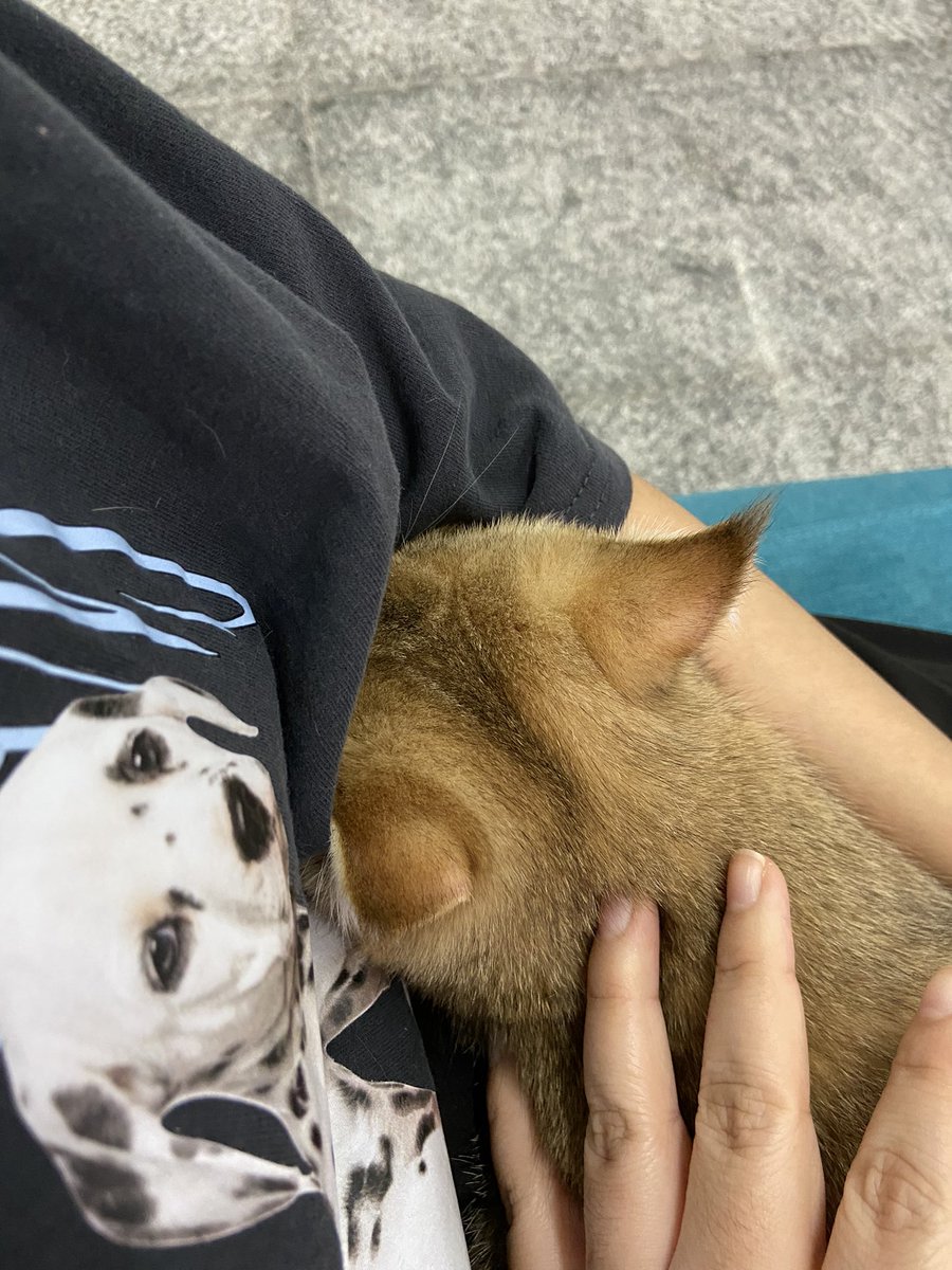 MACUSXO's tweet photo. หาหมอเก่ง @ldhx_ https://t.co/YsVQHHsRNR
