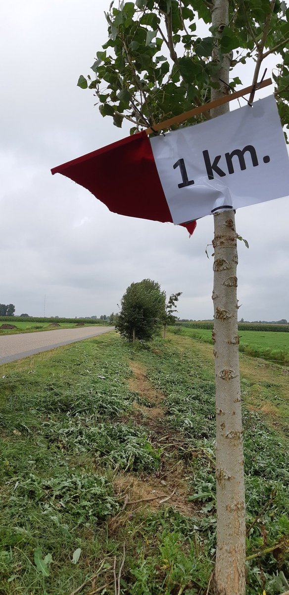 Flinke woei in de polder.
Laatste km rechtdoor naar school en kantoor <a href="/rondevanameide/">St. Wielerronde Ameide</a> <a href="/5heerenlanden/">Gemeente Vijfheerenlanden</a> <a href="/KNWU/">KNWU</a> <a href="/janvanarckel/">Jan van Arckel</a> <a href="/Polderkoers/">ArnoWallaardMemorial</a> #rondevanameide #omloopvanameide #laatstekm #vot
